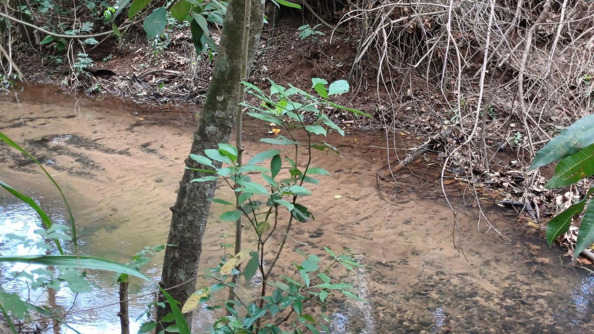 Sitio Encontro Das Aguas Brotas Sao Paulo Bagian luar foto